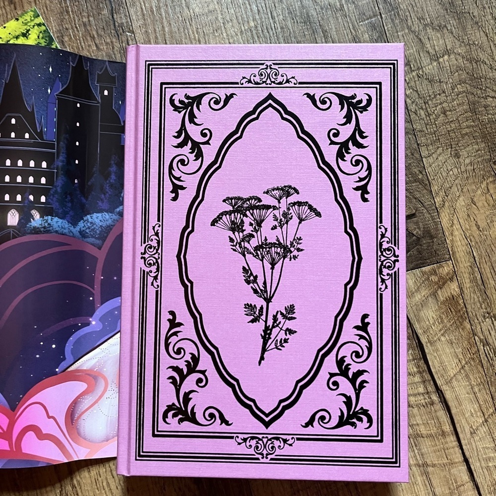Fairyloot the darkness within us - Picture 2 of 6